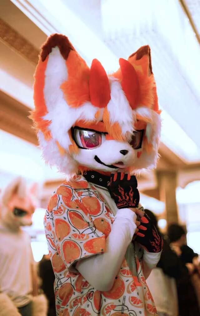 帅照1